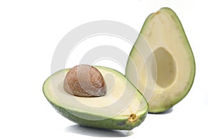 Avocado Fruit
