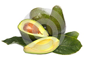 Avocado fruit