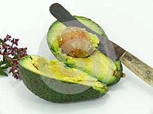 Avocado fruit