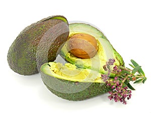 Avocado fruit