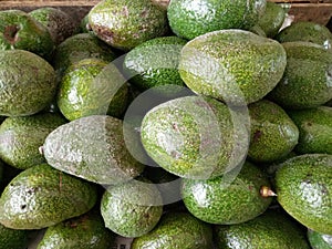 Avocado Fruit