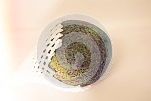 Avocado fruit with foam epe net on  white background.