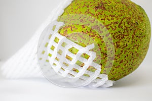 Avocado fruit with foam epe net on  white background.
