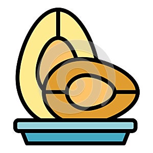 Avocado fruit icon vector flat