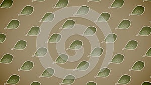 Avocado Fruit Pattern Background