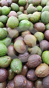 Avocado fruits look like yummy