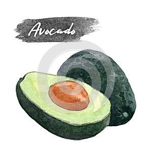 Avocado and half avocado , watercolor painting isolated