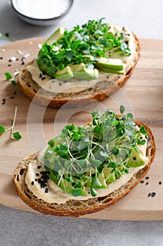 Avocado Hummus Toast with Sprouts, Healthy Snack, Breakfast, Vegetarian Meal