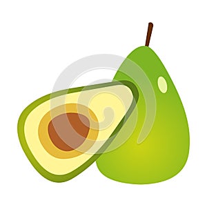 Avocado illustration