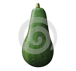 Avocado isolated on white background - Easy to cut