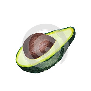 Avocado isolated on white background. Keto diet hand drawing. Organic food. Healthy eating concept, paleo products