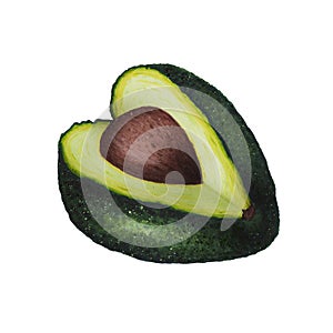 Avocado isolated on white background. Keto diet hand drawing. Organic food. Healthy eating concept, paleo products