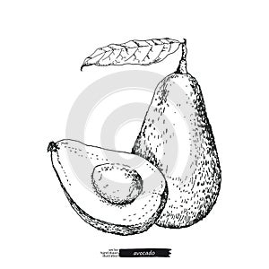 Avocado with leaf and half avocado isolated. Line art style.