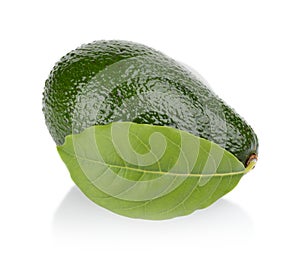 Avocado with leaf lies horizontally isolated on white