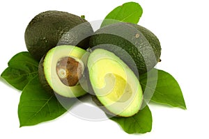 Avocado with leaves