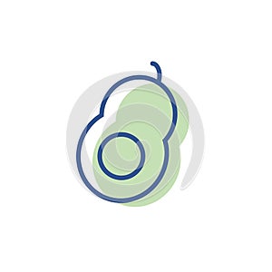 avocado lineal icon color. vector line simple logo illustration