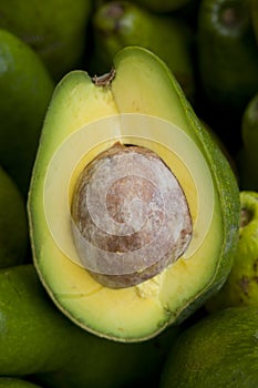 Avocado in Market