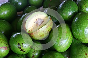 Avocado palta guacamole fruit photo