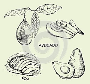 Avocado set isolated on white background. Line art style.