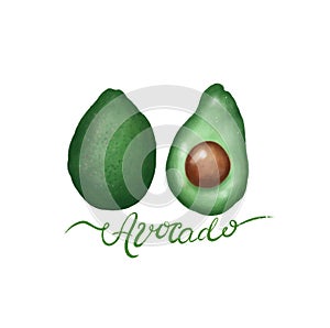 Avocado Set, Procreate sketch, Raster illustration, Isolated on white