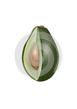 The Avocado