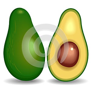 Avocado