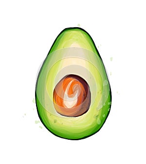 Avocado slice from multicolored paints. Splash of watercolor, colorful drawing, realistic