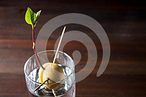 The avocado sprout grows from the seed in a glass of water. A living plant with leaves, the beginning of life on a wooden table.