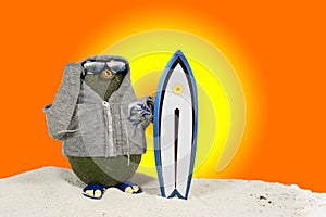 Avocado - surfer