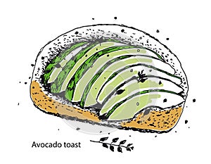 Avocado toast. Fresh toasted bread with ripe avocado.