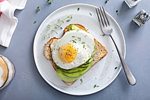 Avocado toast on a toasted multigrain bread with a fried egg