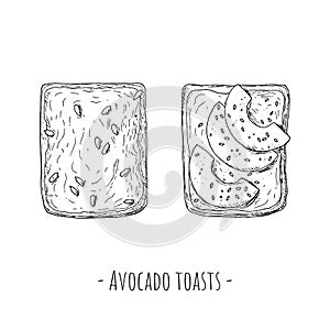 Avocado toasts. Top view. Hand-drawn style. Isolated