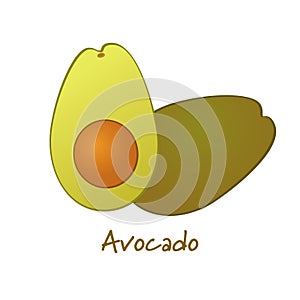 Avocado vector illustration
