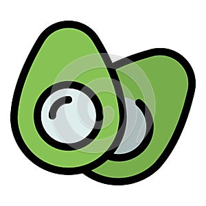 Avocado vitamin icon vector flat