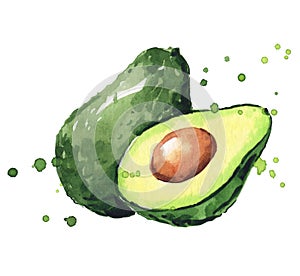 Avocado watercolor illustration