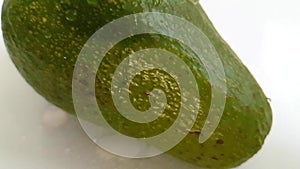 Avocado wet spray of water on a white background slow motion