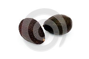 Avocado on white background