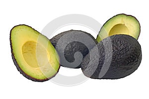 Avocado 