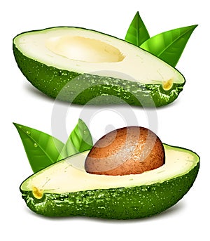 Avocados with core vector illustration