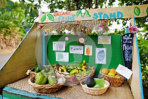 Avocados, lemons, bananas and other fruits for sale at a self service roadside stand on the Big Island of Hawaii