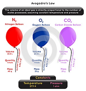 Avogadro Law Infographic Diagram with example
