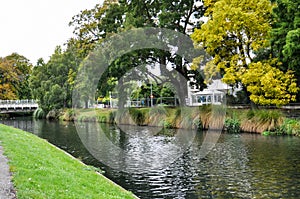 Avon river in Christchurch, New Zealand.