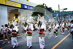 Awa Dance /Awa Odori