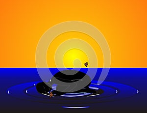 Awakening a new beginning...