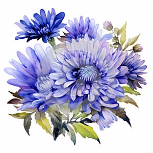 Award-winning Blue Chrysanthemums Watercolor Illustration