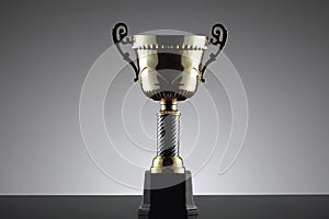 Award winning trophy in gray background