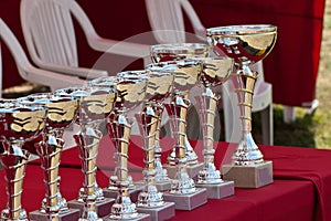 Awards cups on a red table