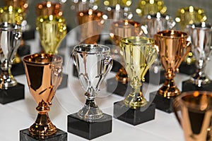 Bronze, silver and gold mini cup awards