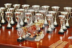 Kids and adult race awards on a table