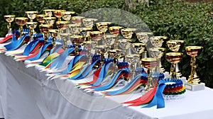 Awards waiting to be assigned after equitation event